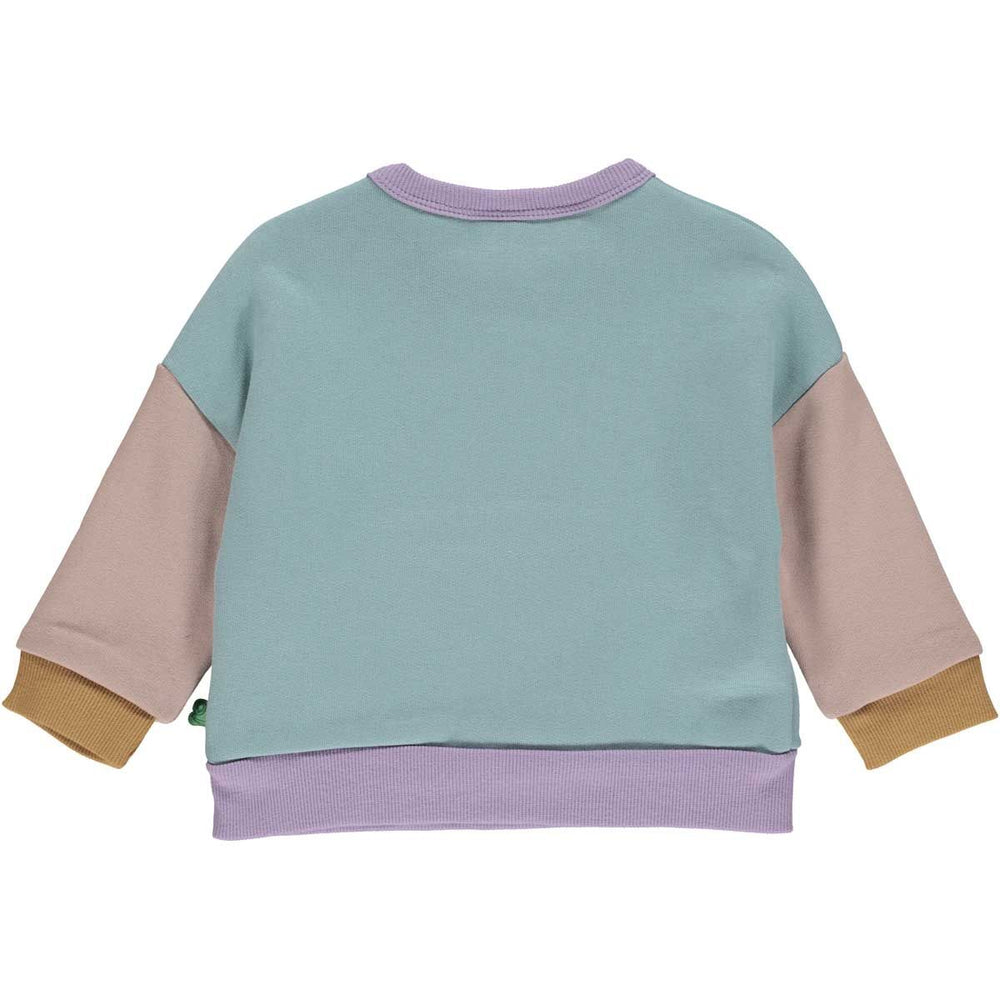 Maglione